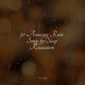 50 Amazing Rain Songs for Sleep Relaxation - Música Zen Relaxante