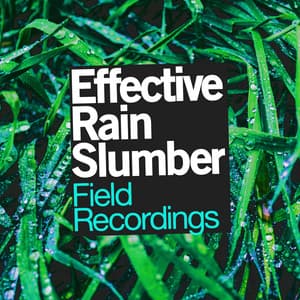 Effective Rain Slumber - Field Recordings