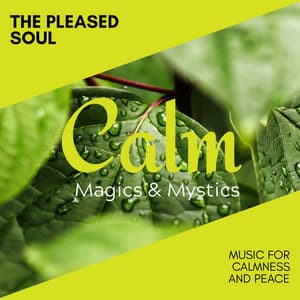The Pleased Soul - Music for Calmness and Peace - Relaxing Minds