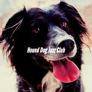 Hound Dog Jazz Club - Dog Therapy Music