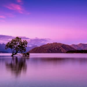 714hz Healing - Frankie Moonlight