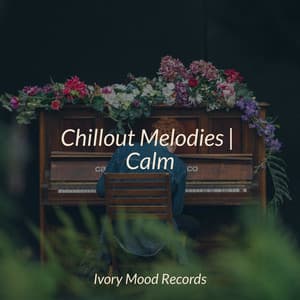 Chillout Melodies | Calm - Ivory Mood