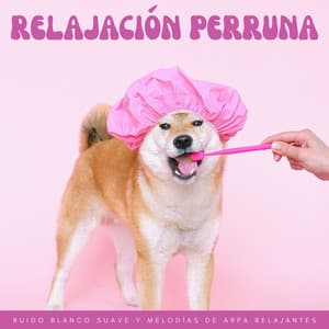 Relajación Perruna: Ruido Blanco Suave Y Melodías De Arpa Relajantes - Terapéutica de Ruido Blanco