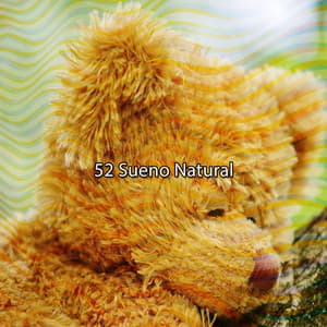 52 Sueno Natural - Chillout Lounge Relax