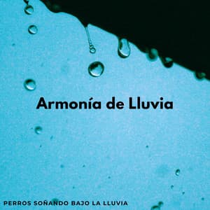 Armonía De Lluvia: Perros Soñando Bajo La Lluvia - Cara de lluvia