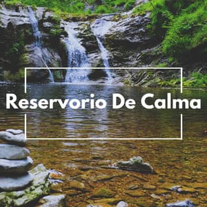 Reservorio De Calma - Sonidos de agua Ruido blanco natural