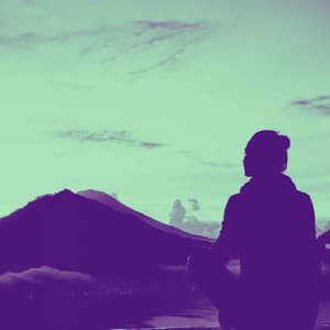 Bossa Guitars - Background Music for Study Shapes - Cool Jazz Moods