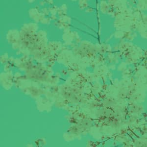 Simple Spa Music - Ambiance for Hatha Yoga - Yoga Music Moments