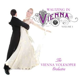 Waltzing In Vienna, Vol. 1 - Johann Strauss II