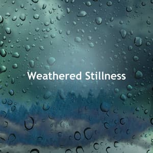 Weathered Stillness - Storm Sounds