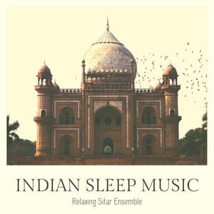 Indian Sleep Music: Relaxing Sitar Ensemble - Memory Helper