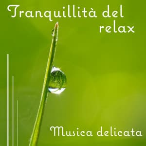 Tranquillità del relax - Musica delicata, Suona la terapia per il sonno profondo, Anti stress, Esercizi yoga e massaggi - Musica Rilassante Maestro