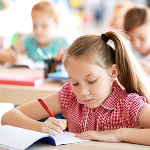 Raindrop Haven: Serene Study Ambience Chill Music - ASMRainy