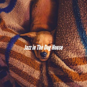 Jazz in The Dog House - Music for Dog's Ears