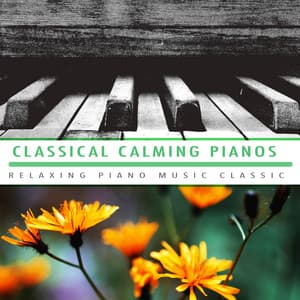 Classical Calming Pianos - Relaxing Piano Music Classic