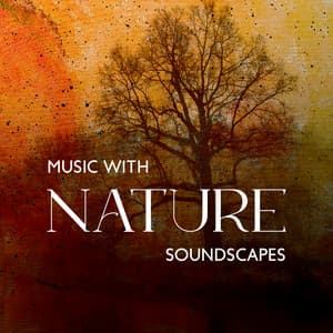 Music With Nature Soundscapes: Relaxing Body and Mind Music with Enchanting Forest, Water and Birds Sounds for Stress Relief, Better Sleep and Hectic Workload - Nature Collection