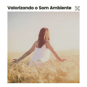 Valorizando o Som Ambiente - Academia de Meditação Buddha