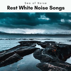 2 0 2 2 Rest White Noise Songs - Sea of Noise