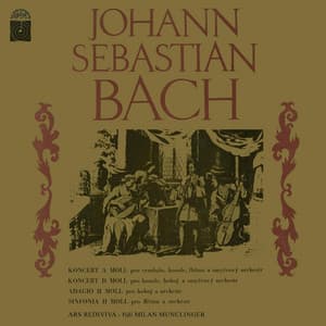 Bach: Concertos - Johann Sebastian Bach