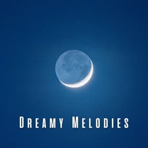 Dreamy Melodies: Sleep Music Collection - Soft Music for Daydreaming