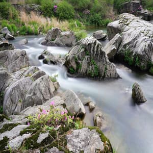 Endeløs Strøm - Feel The Nature