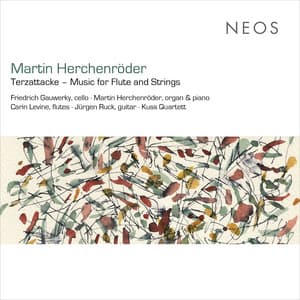 Martin Herchenröder: Terzattacke – Music for Flute & Strings - Martin Herchenroder