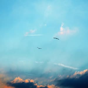 Calm in Winter Chillout Compilation - Sleep Sounds of Nature