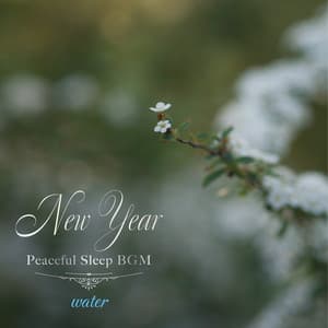 SE付き 新春眠れるお正月（water〜せせらぎ〜) - Healing Energy