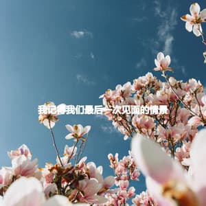 我记得我们最后一次见面的情景 - Chill Lounge