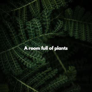 A room full of plants - Soft Dinner Music