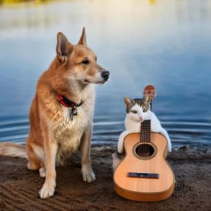 Pets' Peace: Relaxing Guitar and Water Sounds - Guitar Music Love