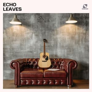 Echo Leaves - Jazz Guitar Music Zone