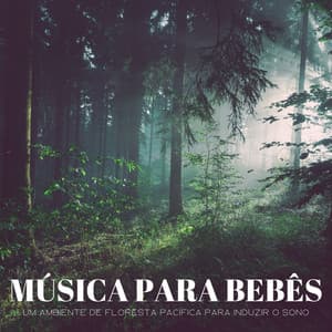 Música Para Bebês: Um Ambiente De Floresta Pacífica Para Induzir O Sono - Música de Relaxamento No Spa