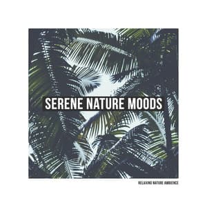 Serene Nature Moods - Relaxing Nature Ambience