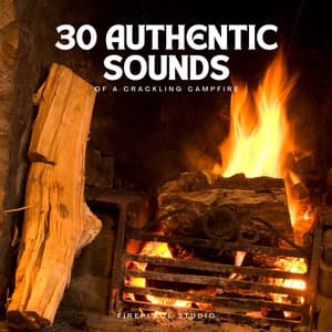 30 Authentic Sounds of a Crackling Campfire - Fireplace Studio