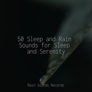50 Sleep and Rain Sounds for Sleep and Serenity - Weather Factory