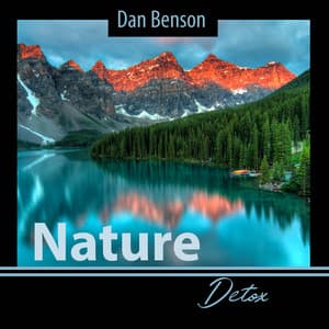 Nature Detox: Relief Stress, Anxiety, Pain & Depression - Dan Benson