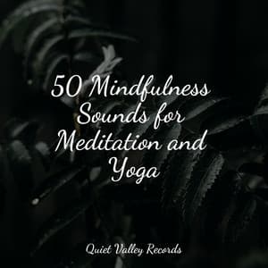 50 Mindfulness Sounds for Meditation and Yoga - Ambient Nature project