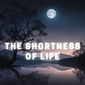The Shortness of Life - Little Circuits