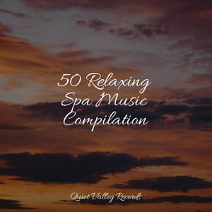 50 Relaxing Spa Music Compilation - Asian Zen Spa Music Meditation