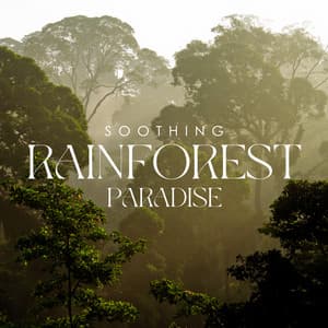 Soothing Rainforest Paradise: Nature Peace, Blissful Moment, Sentimental Piano Pieces - Sleeping Music Zone
