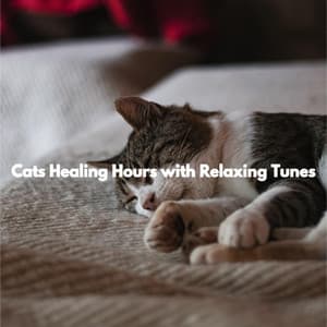 Cats Healing Hours with Relaxing Tunes - Calma