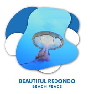 Beautiful Redondo Beach Peace - The Sound Reserve