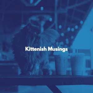 Kittenish Musings - Cat Music Relaxation