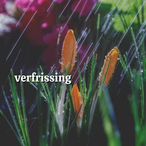 Verfrissing - Geluiden van de Regen