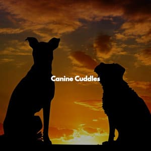 Canine Cuddles - Select Relaxing Bossa Nova