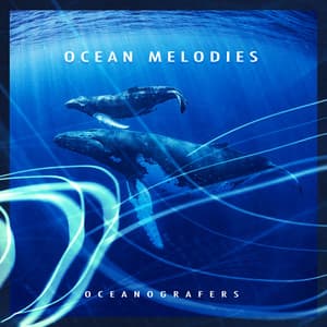 Ocean Melodies - Oceanografers