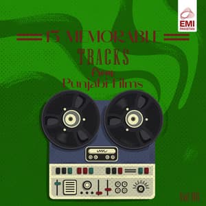 13 Memorable Tracks from Punjabi Films, Vol. 06 - Azra Jehan