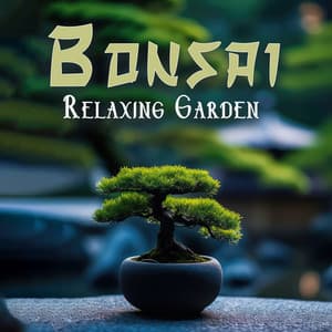 Bonsai Relaxing Garden: Place of Harmony and Peace - Soothing Music Academy