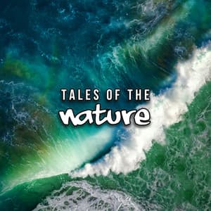 Tales Of The Nature - Deep Sleep